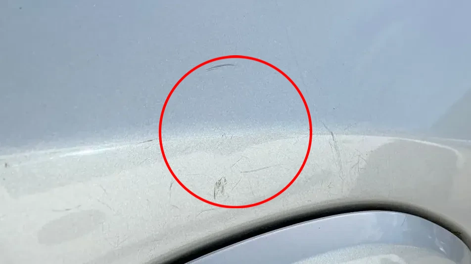 Porta trás direita DACIA Logan MCV II (7S_) Imagem-3