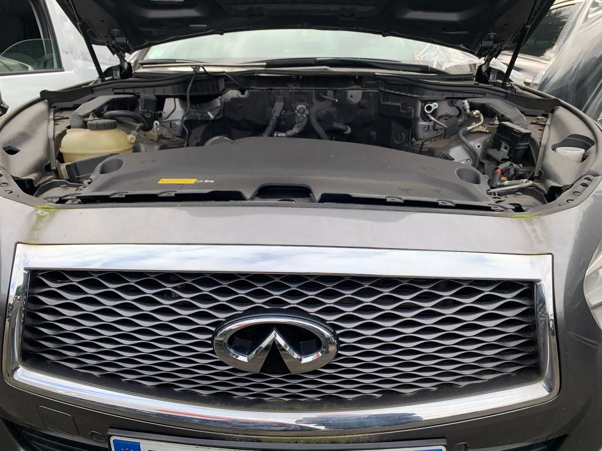 Front grille INFINITI Q50