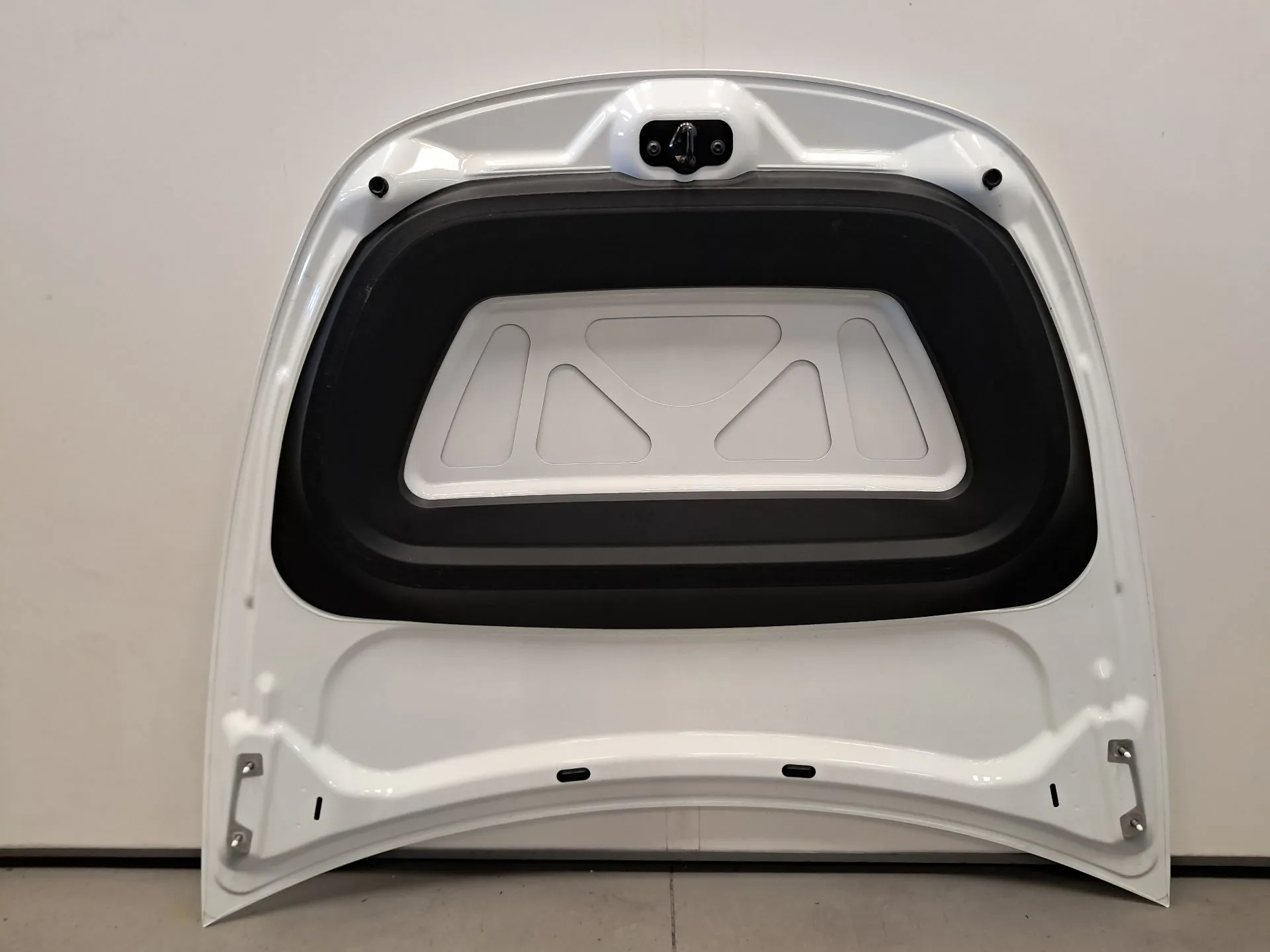Capot TESLA Model Y (5YJY) Imagem-5