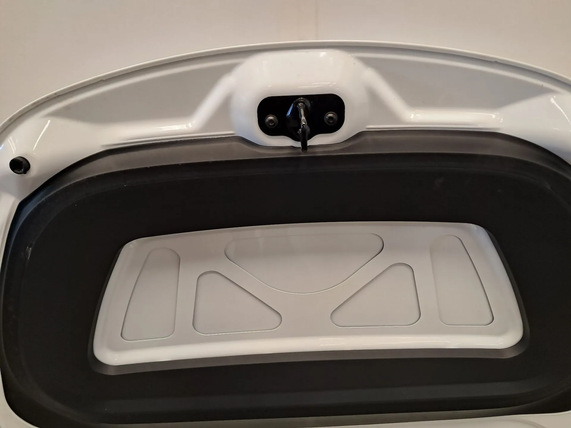 Capot TESLA Model Y (5YJY) Imagem-8
