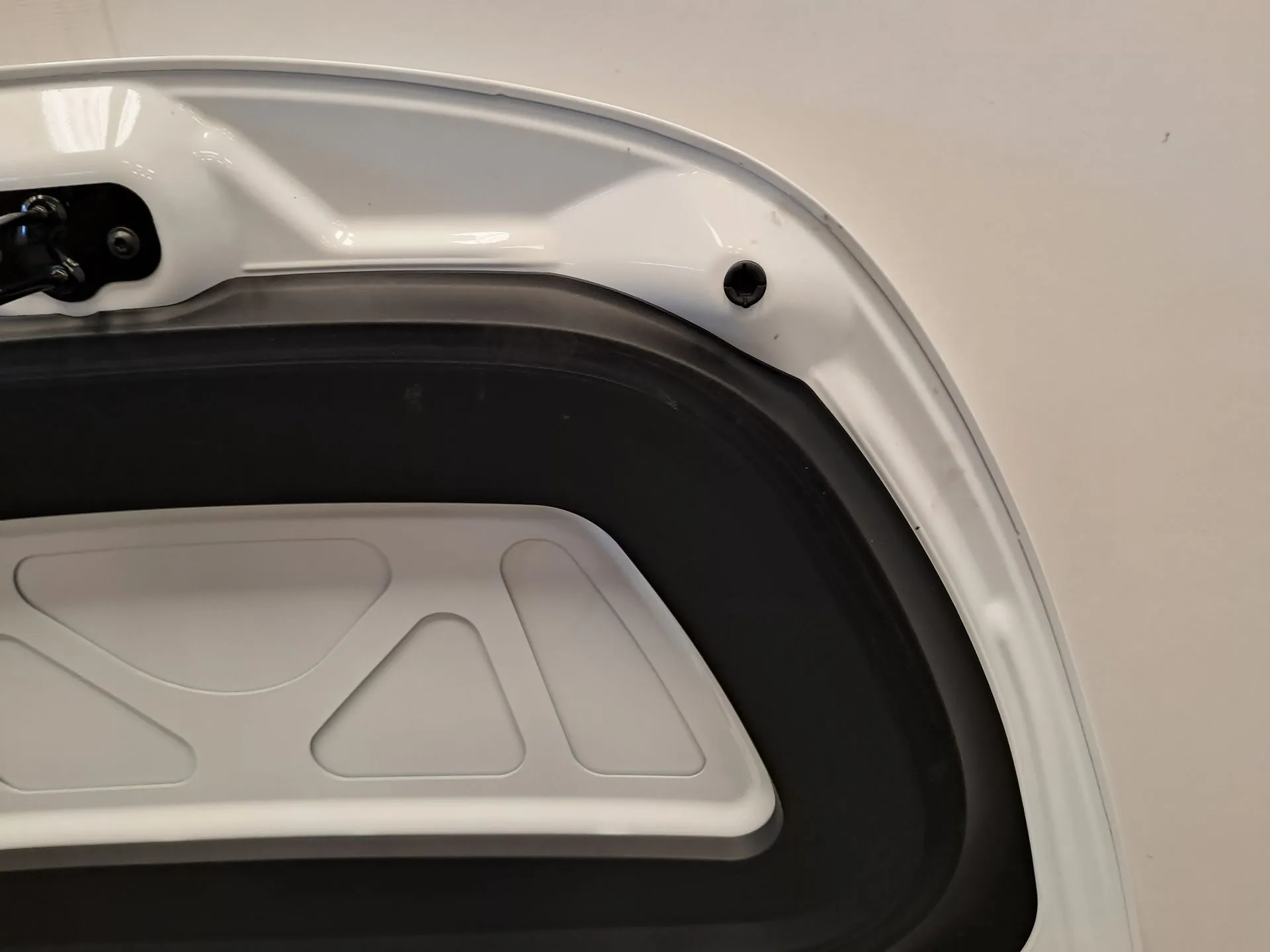 Capot TESLA Model Y (5YJY) Imagem-9