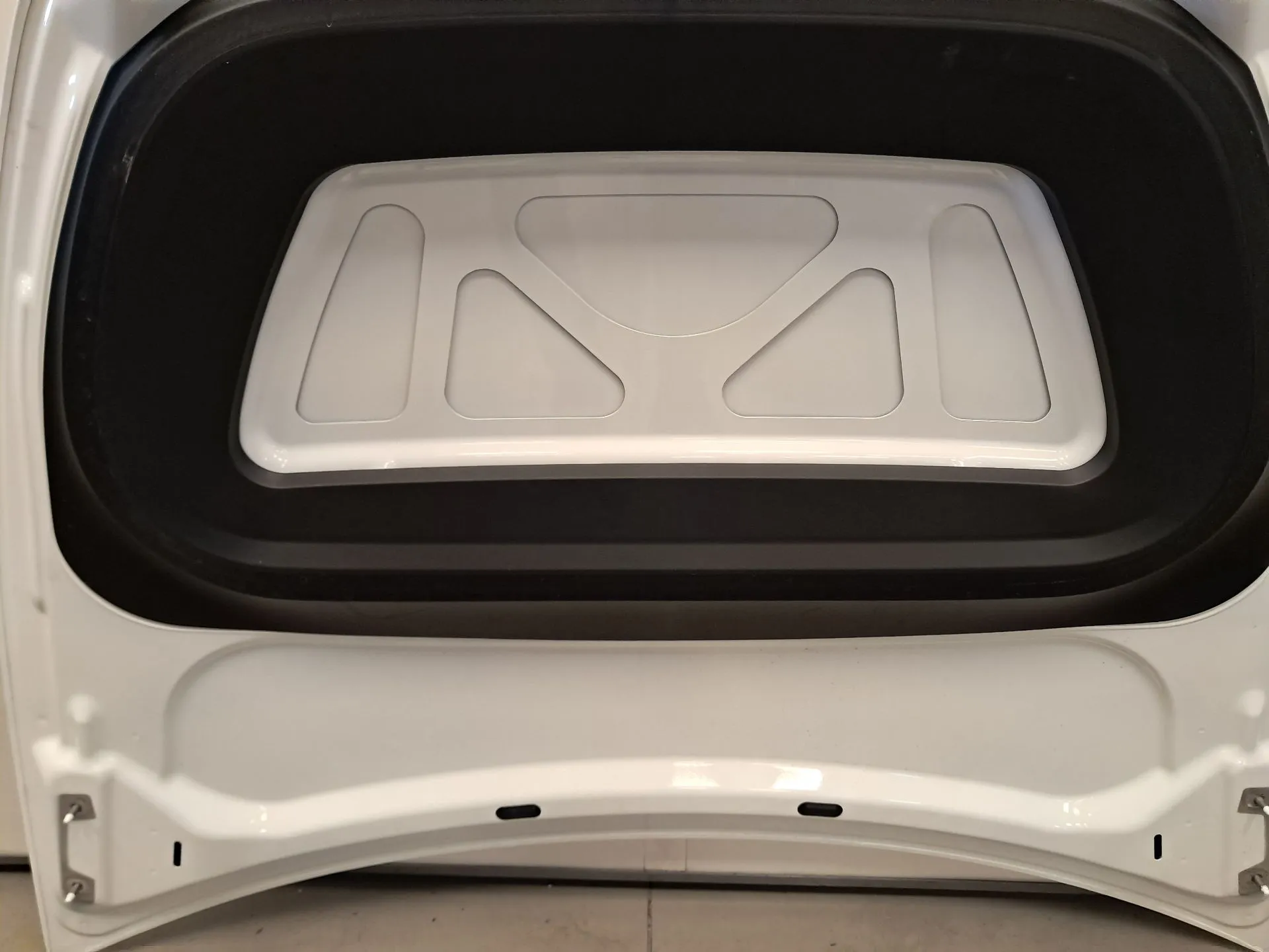 Capot TESLA Model Y (5YJY) Imagem-11