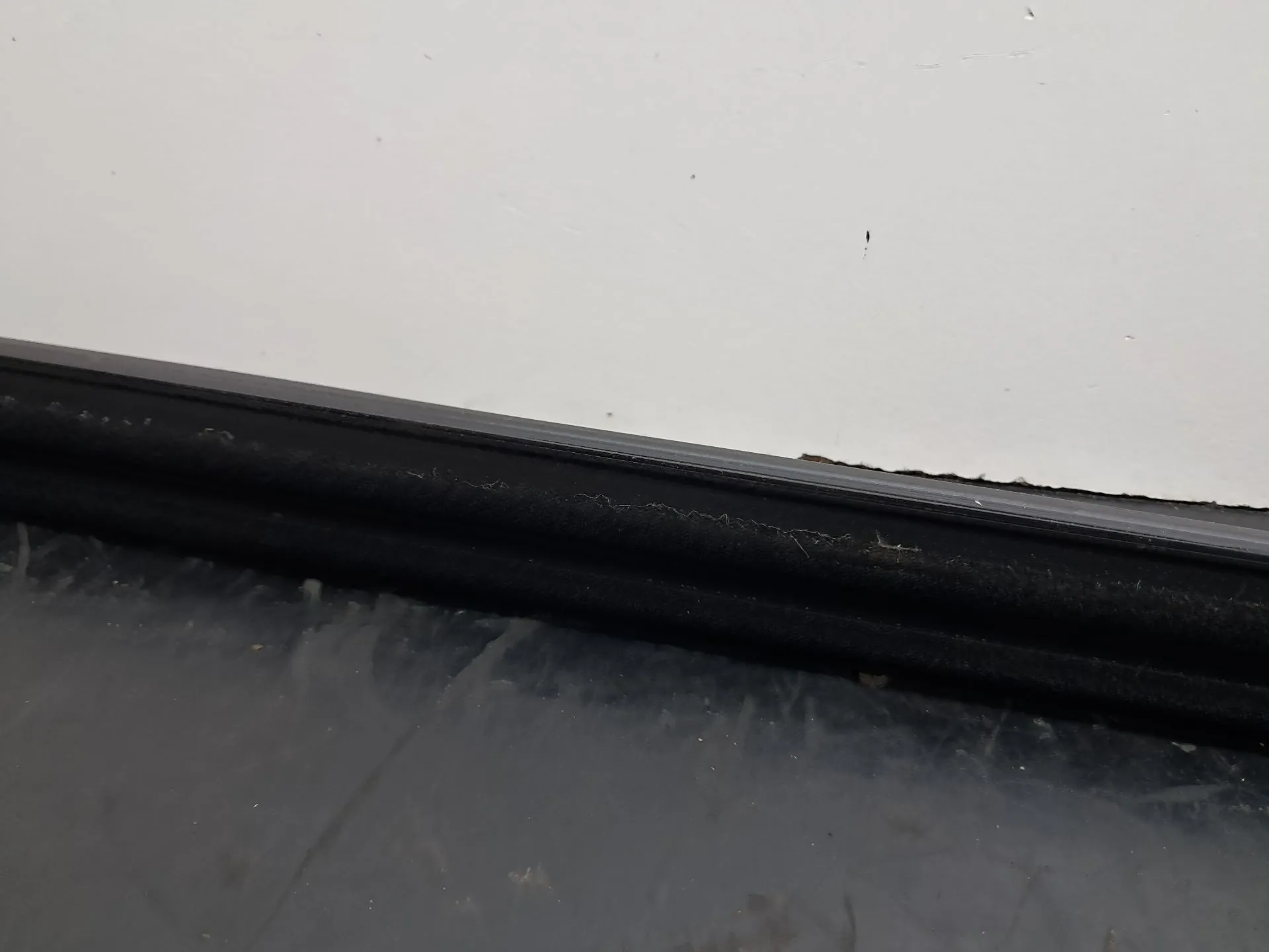 Raspador Vidrio de Puerta Trasera Derecha VOLKSWAGEN Tiguan (AD1, AX1) Imagem-8