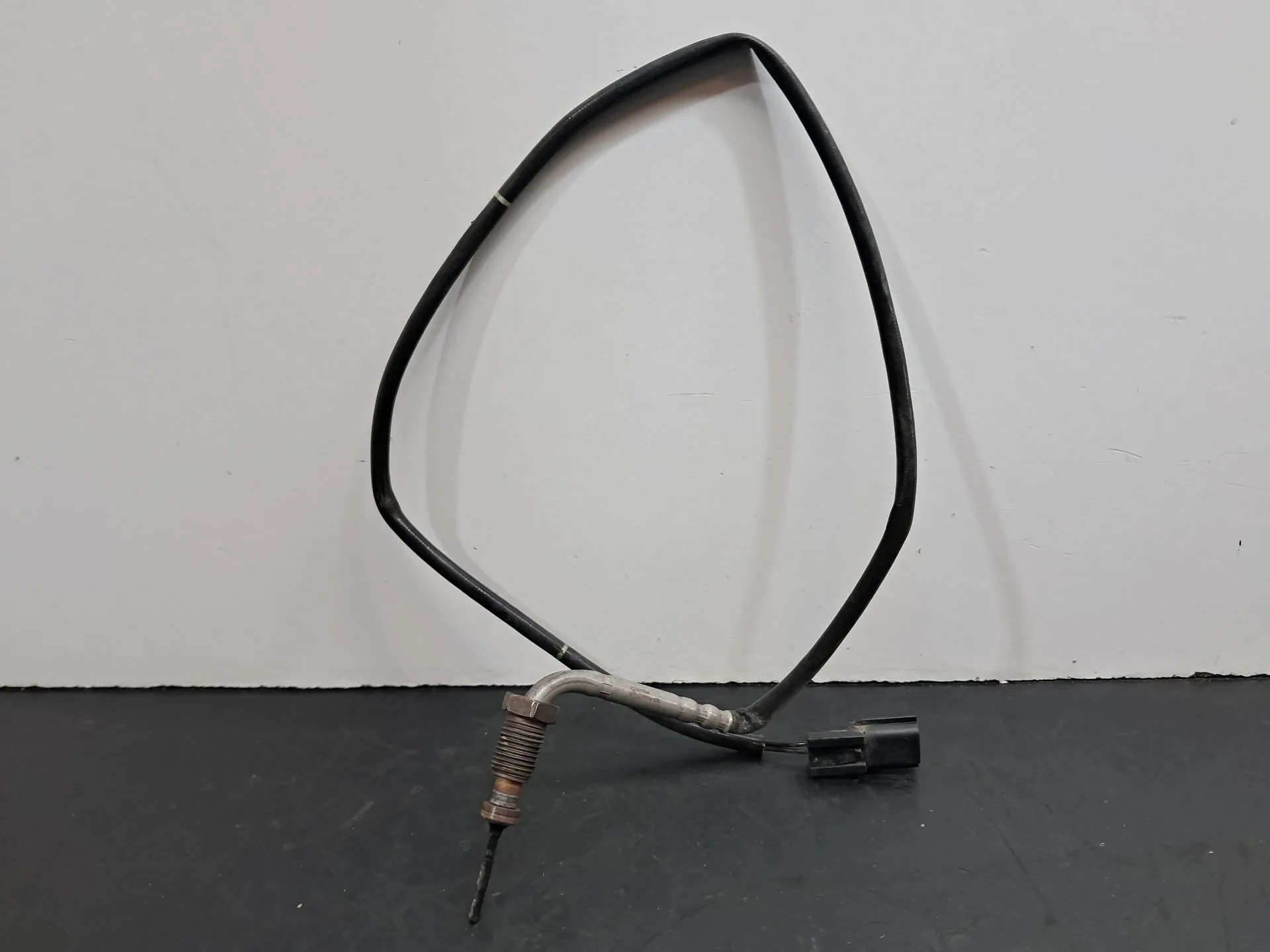 Sensor de Temperatura RENAULT Grand Scénic III (JZ0/1_) | 2009 - 2016