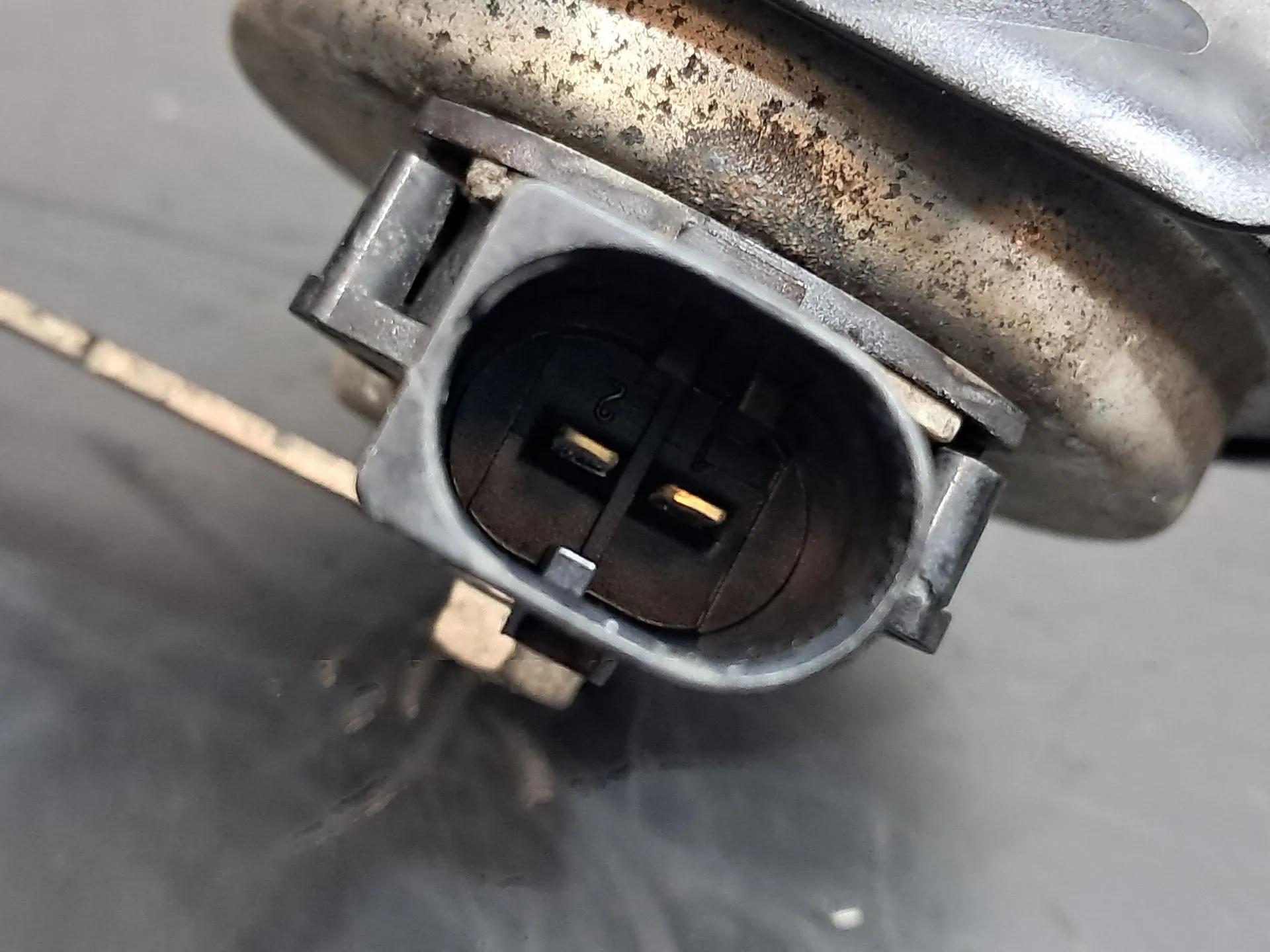 Klaxon BMW X5 (F15, F85) Imagem-2