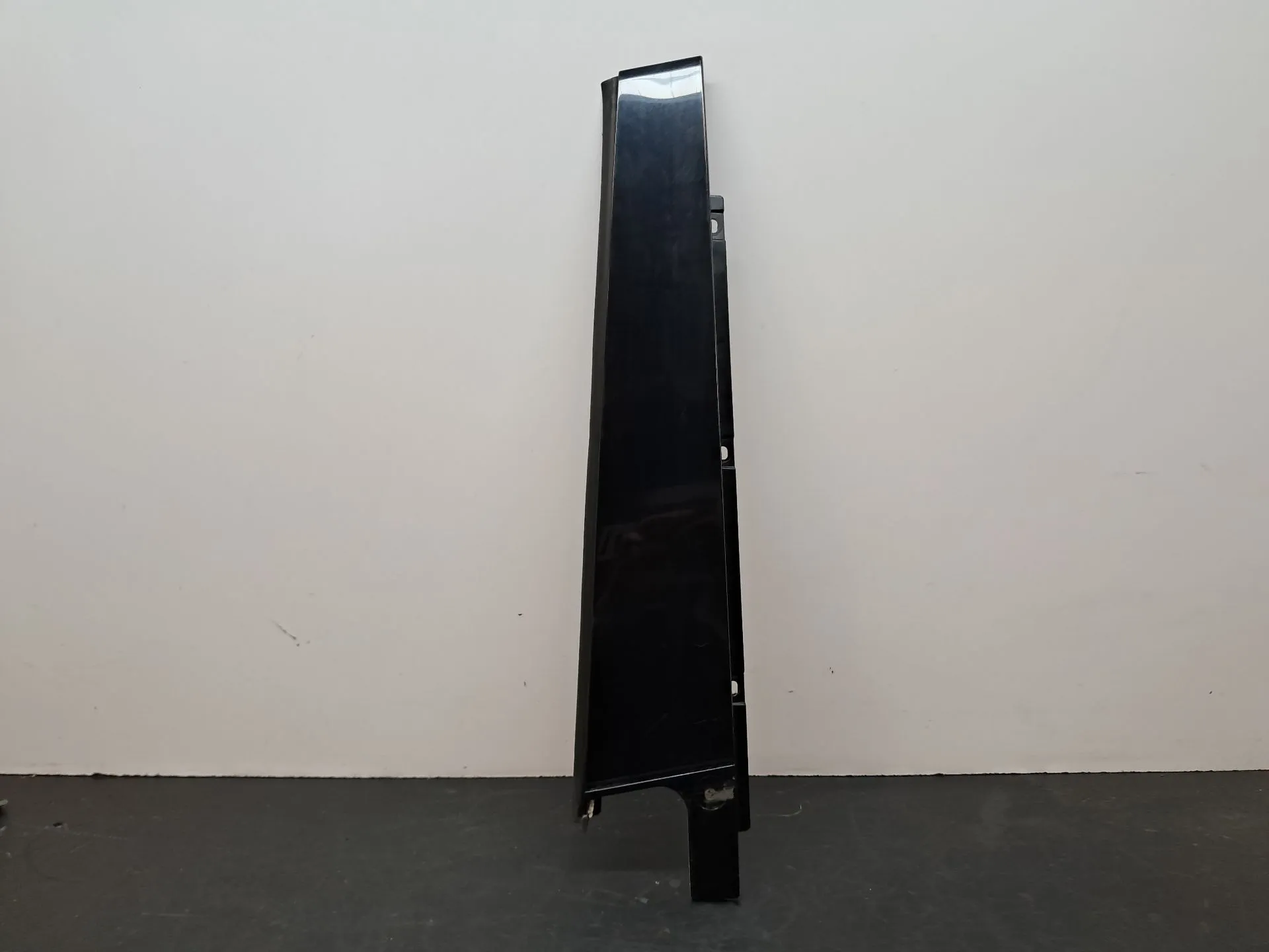 Modanatura porta posteriore sinistra AUDI Q5 (8R)