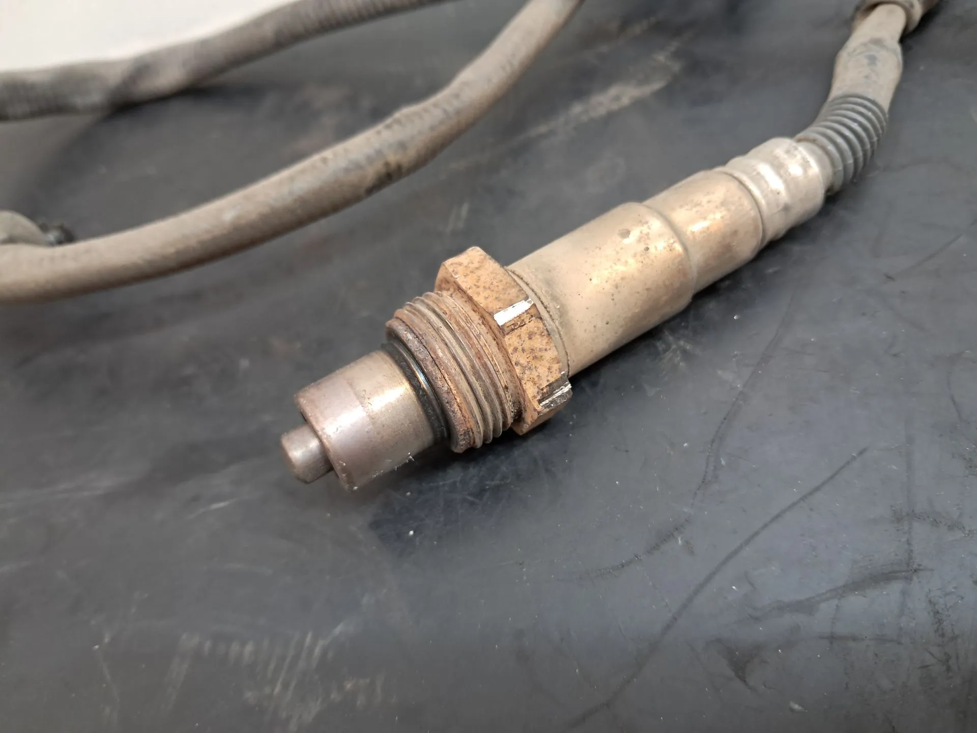 Sonda lambda FORD Transit Imagem-1