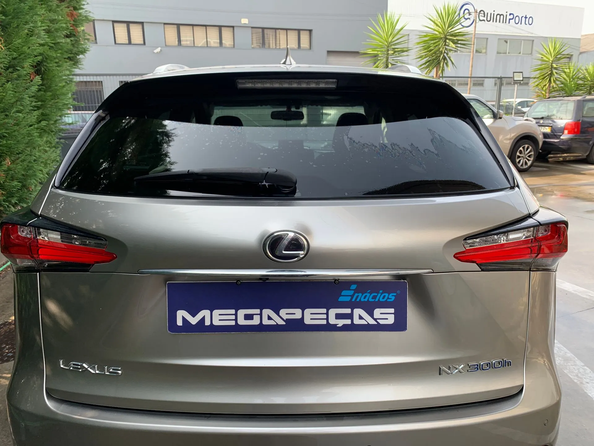 Porta / tampa da mala LEXUS NX (_Z1_)