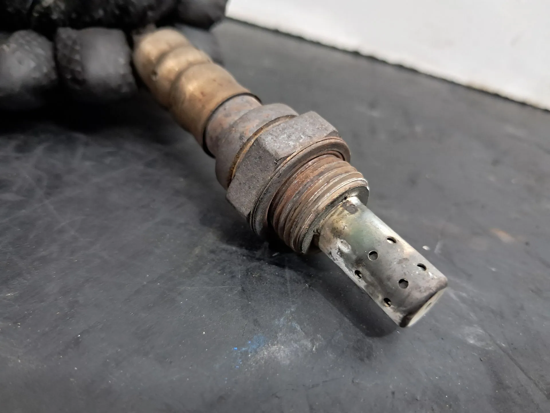 Sonda lambda FIAT Panda (169_) Imagem-1