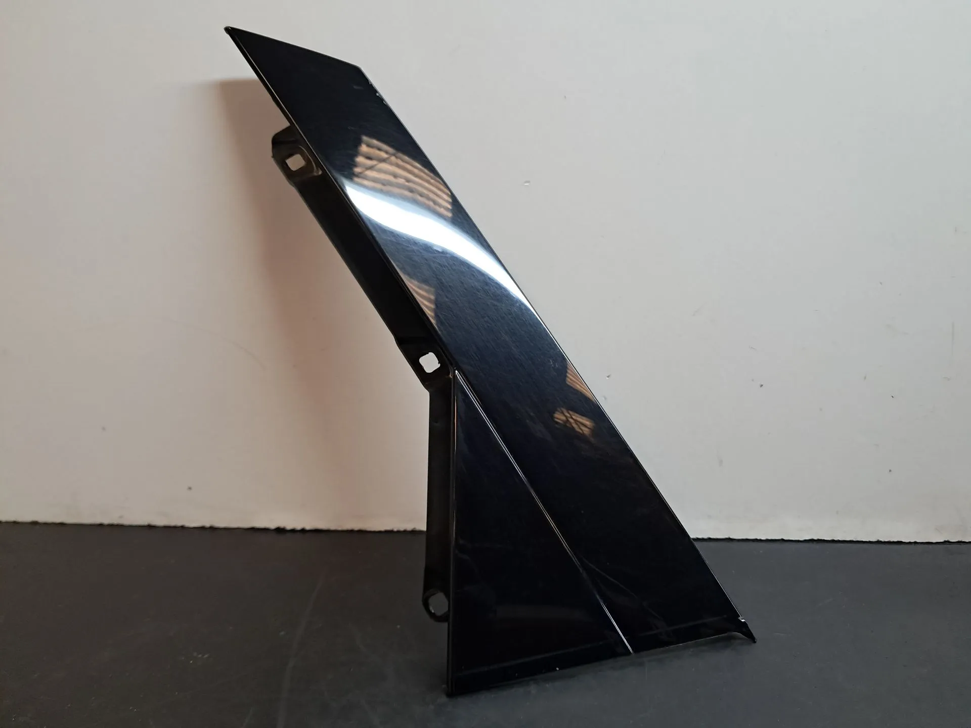 Moldura puerta trasera izquierda AUDI A4 Avant (8W5, 8WD, B9)