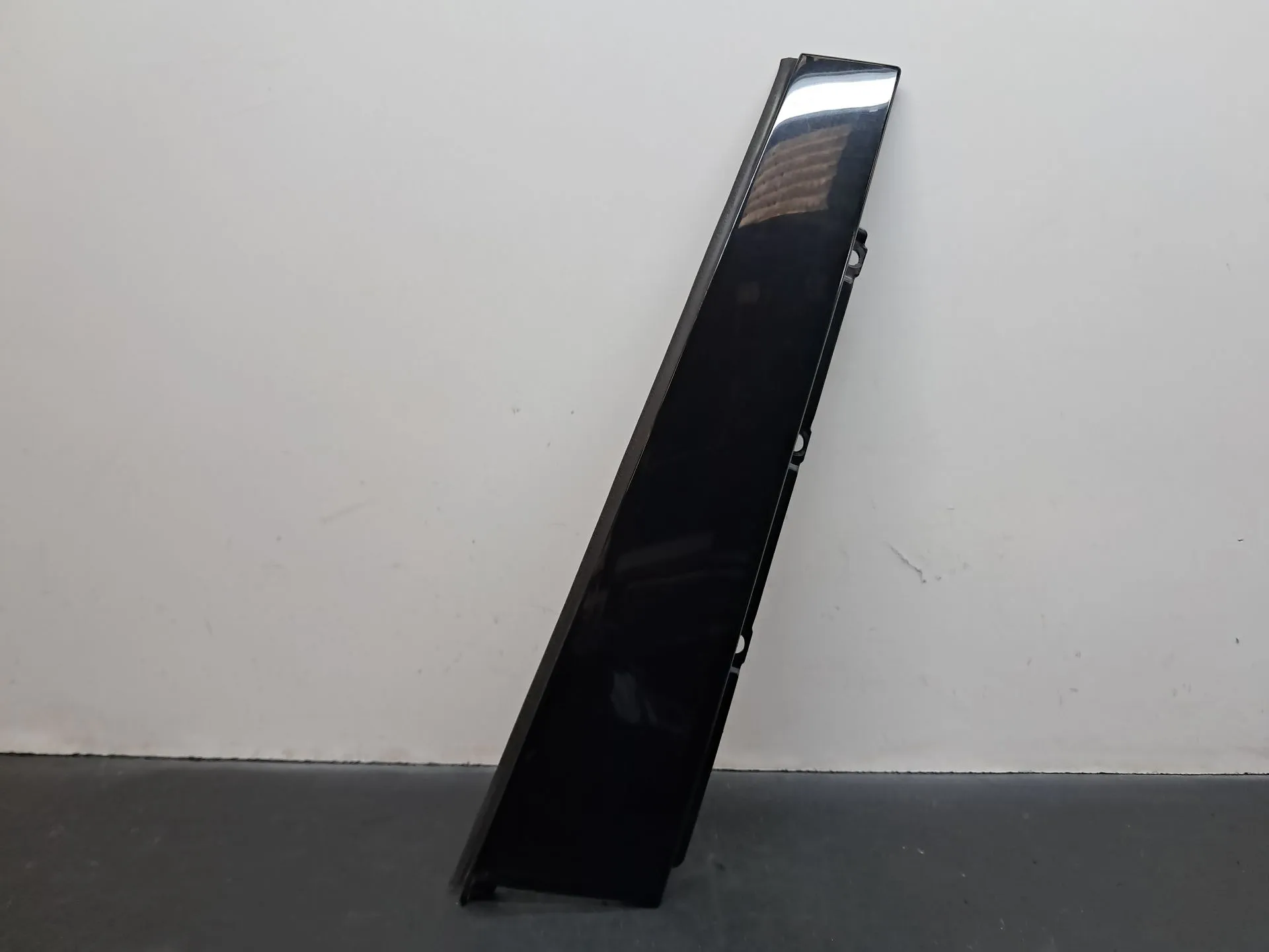 Moldura puerta trasera izquierda AUDI A4 Avant (8W5, 8WD, B9)