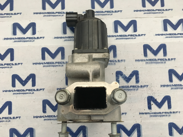 Válvula EGR KIA Carnival / Grand Carnival III (VQ) Imagem-1