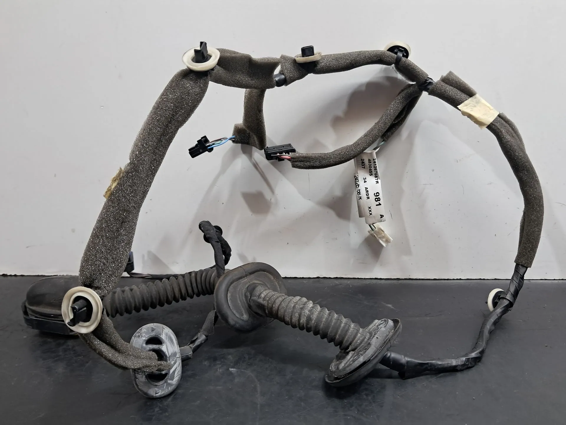 Instalação elétrica interior / cablagem interior RENAULT Scénic III (JZ0/1_)