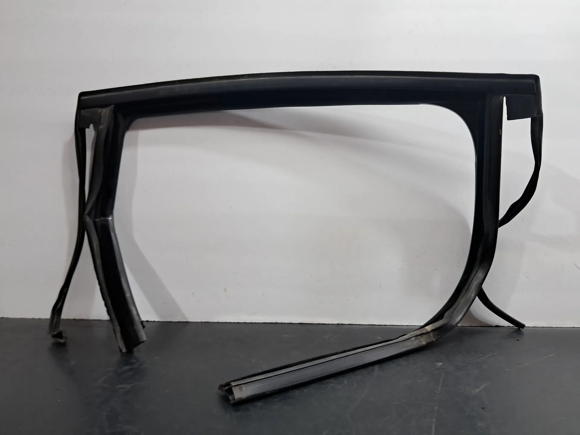 Borracha genérica RENAULT Scénic III (JZ0/1_)