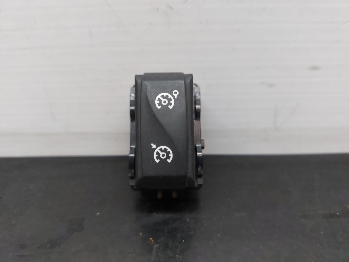 Cruise control lever / switch RENAULT Megane III (BZ0_)