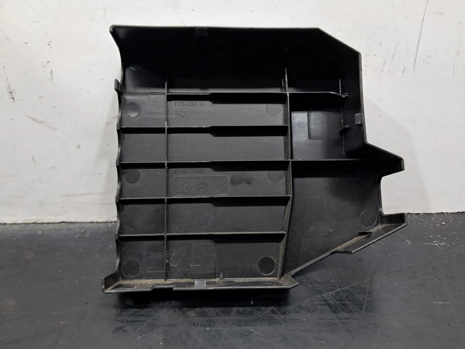 Caixa fusíveis da bateria DS DS7 Crossback (J_) Imagem-6