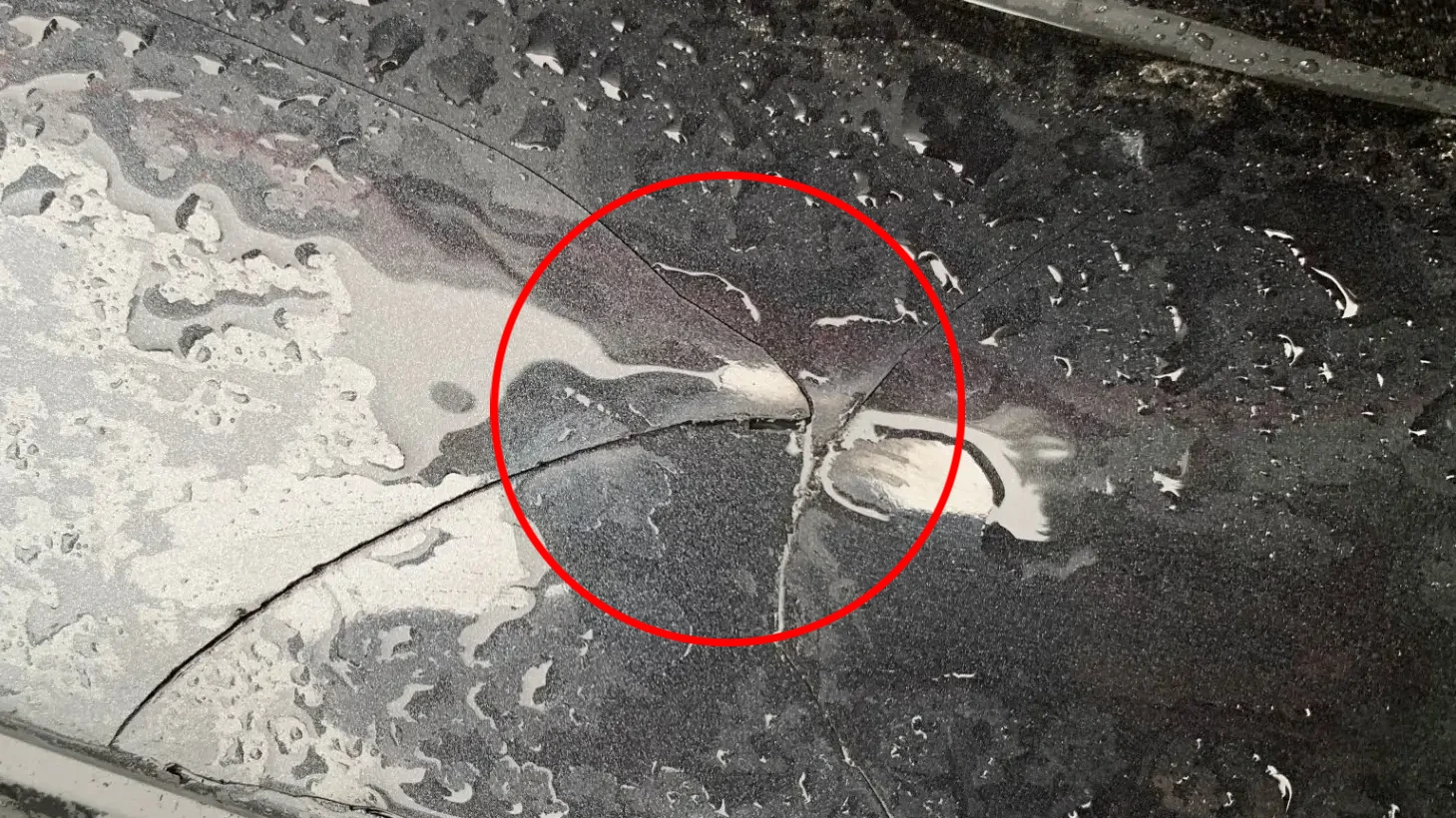 Pare-chocs arrière BMW 5 (E34) Imagem-4