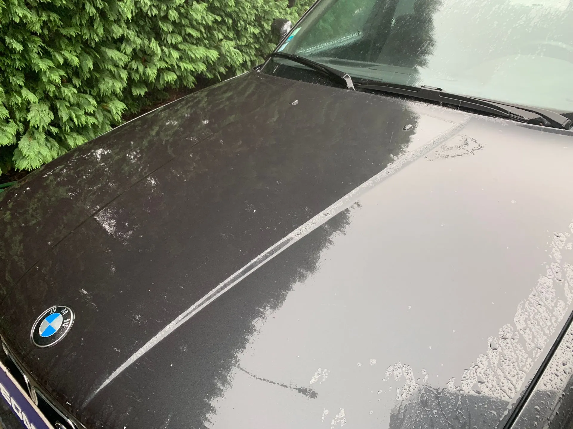 Capot BMW 5 (E34) Imagem-1