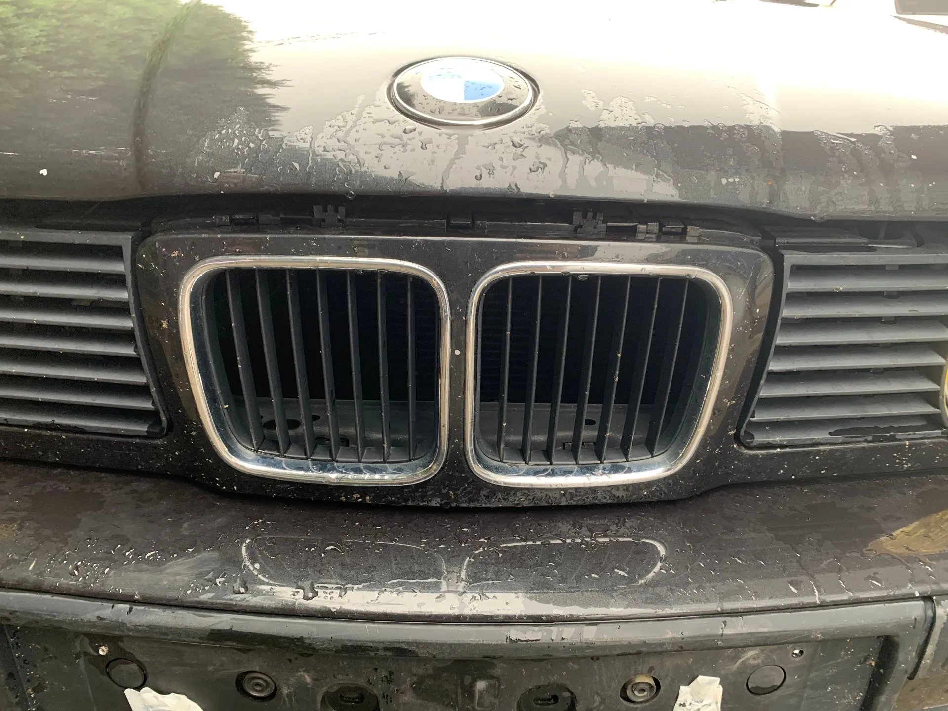 Grille avant BMW 5 (E34)