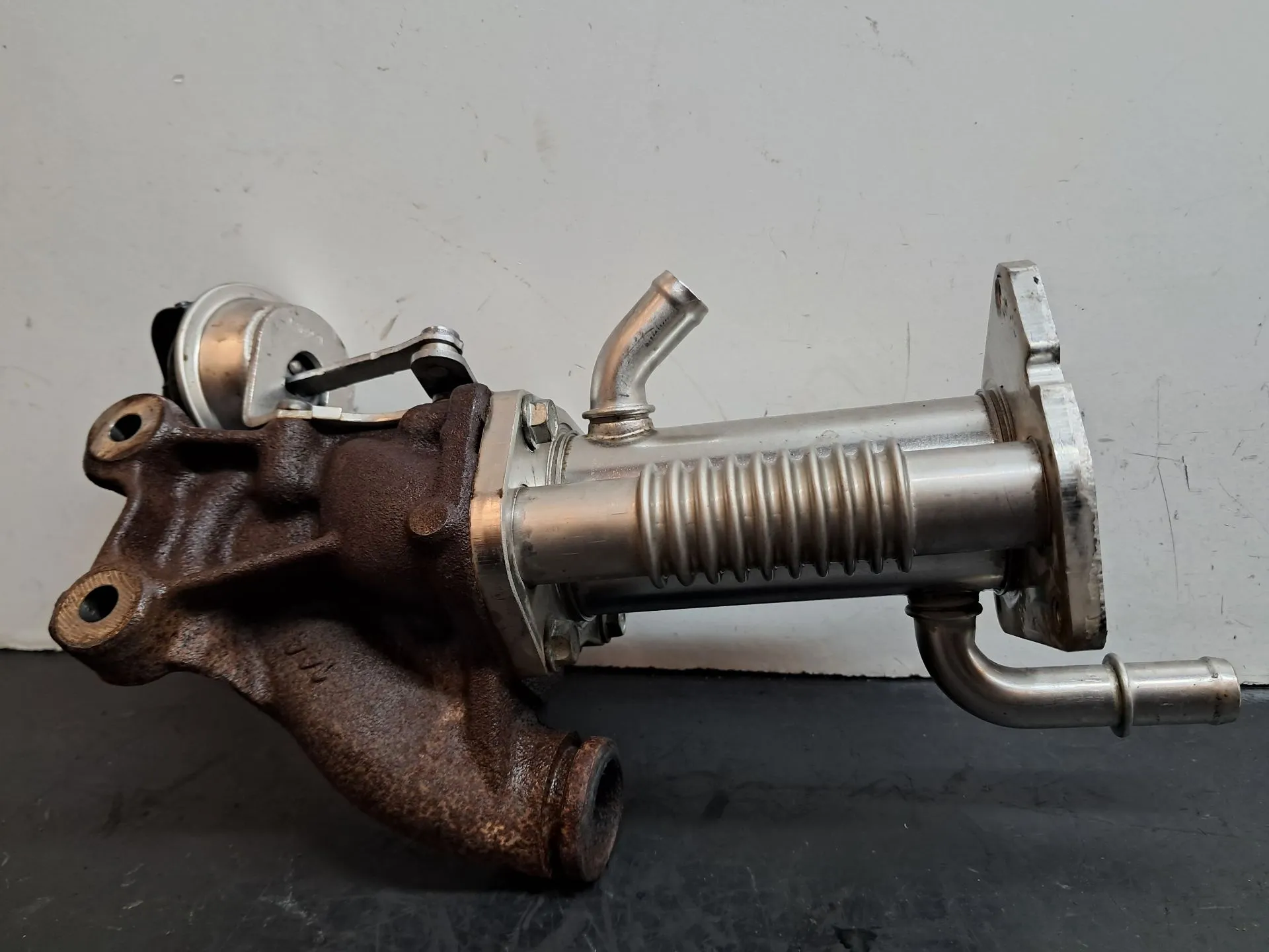 Radiador de gases / EGR DACIA Sandero II (5S_) Imagem-2