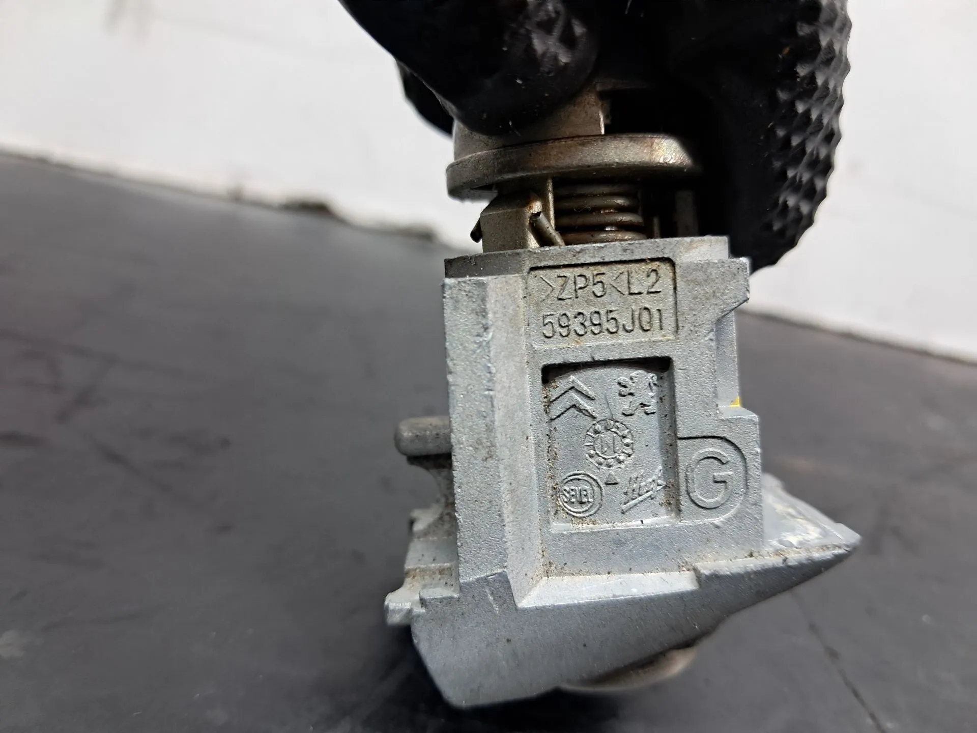 Canhão de porta CITROËN C3 II (SC_) Imagem-3