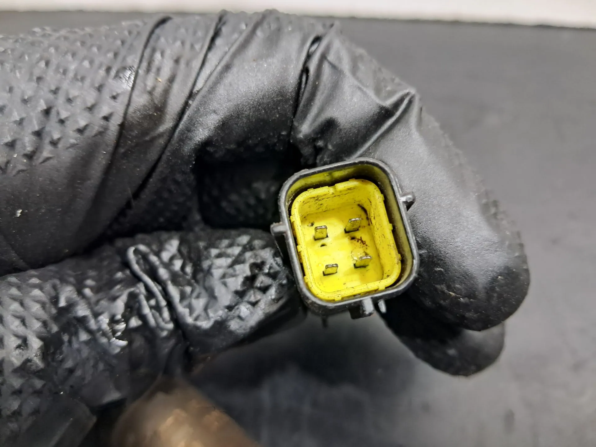 Sonda lambda ROVER 200 Hatch (XW) Imagem-2