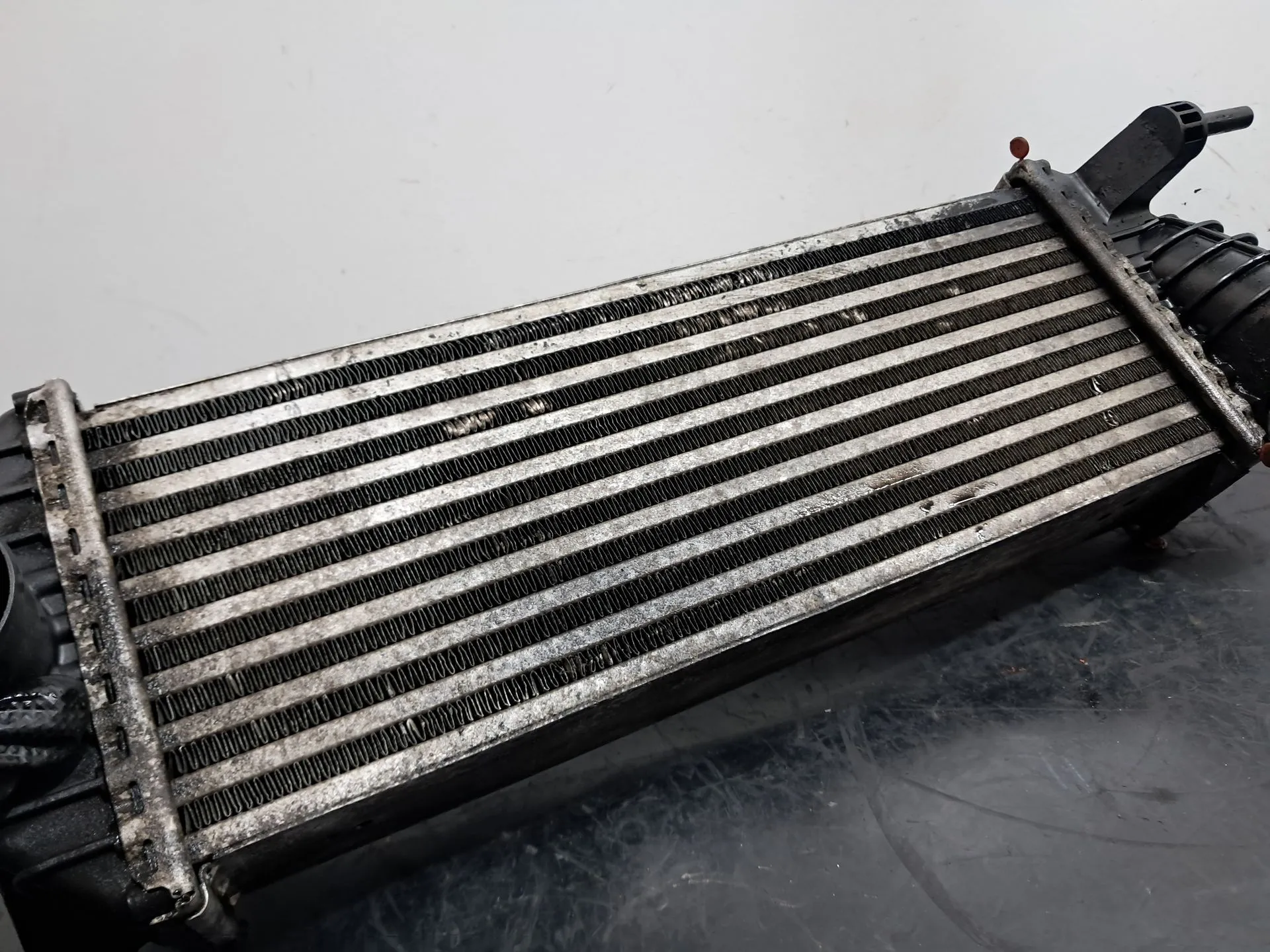 Radiador do intercooler RENAULT Kangoo Express (FW0/1_) Imagem-5
