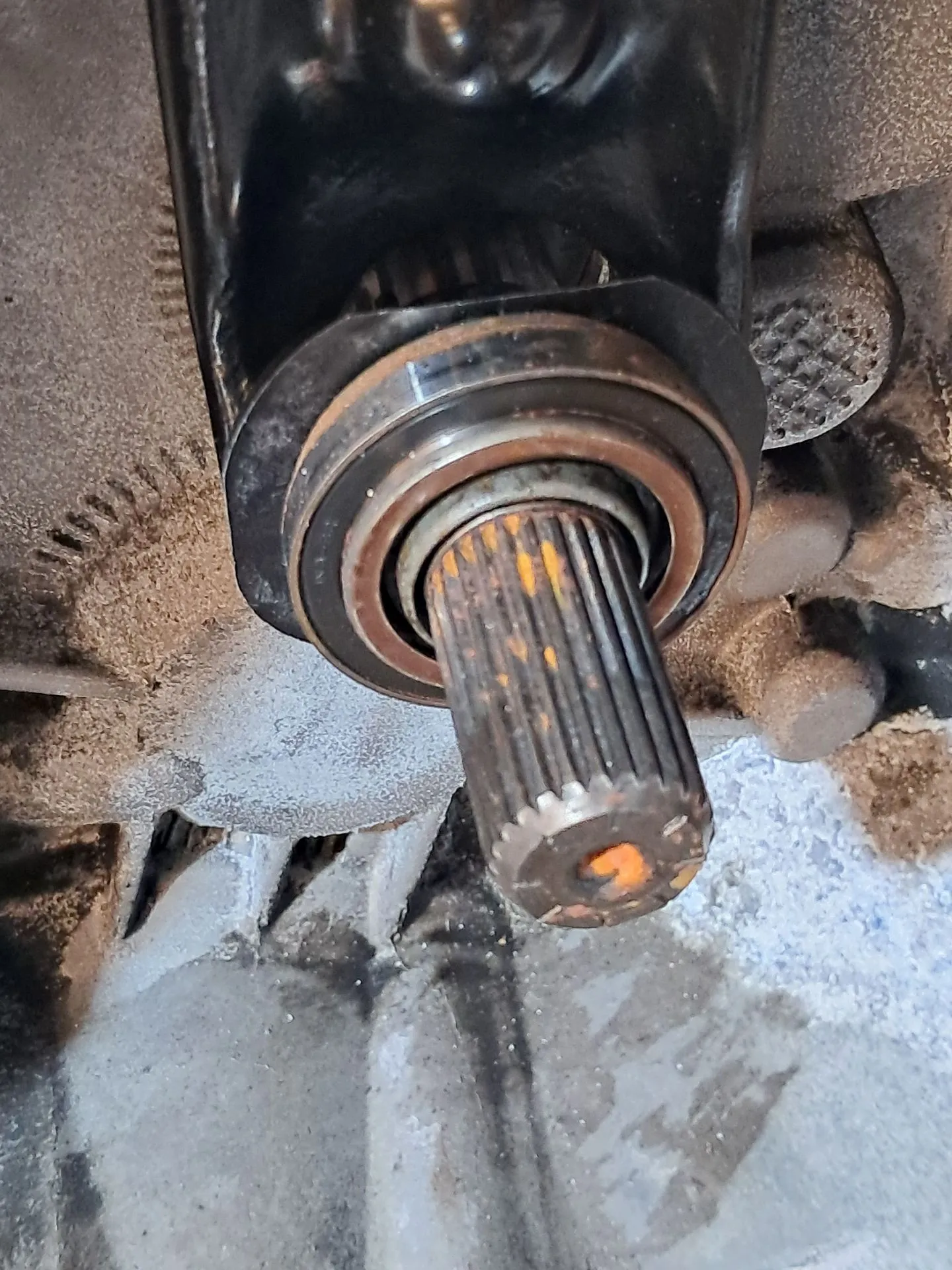 Caixa de velocidades manual RENAULT Clio II (BB0/1/2_, CB0/1/2_) Imagem-8