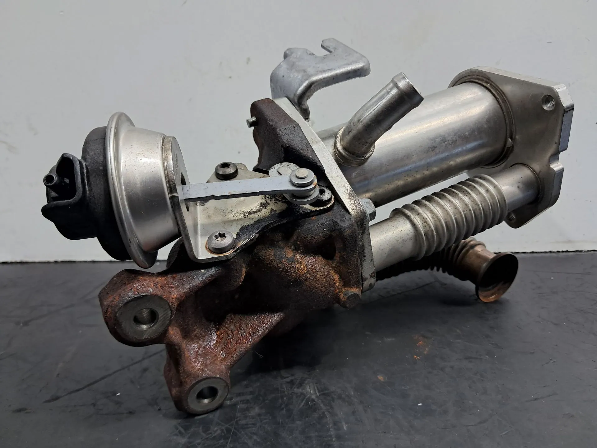 Radiador de gases / EGR RENAULT Megane III (BZ0_) Imagem-2