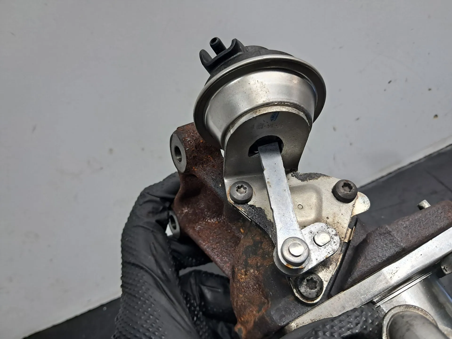 Radiador de gases / EGR RENAULT Megane III (BZ0_) Imagem-6