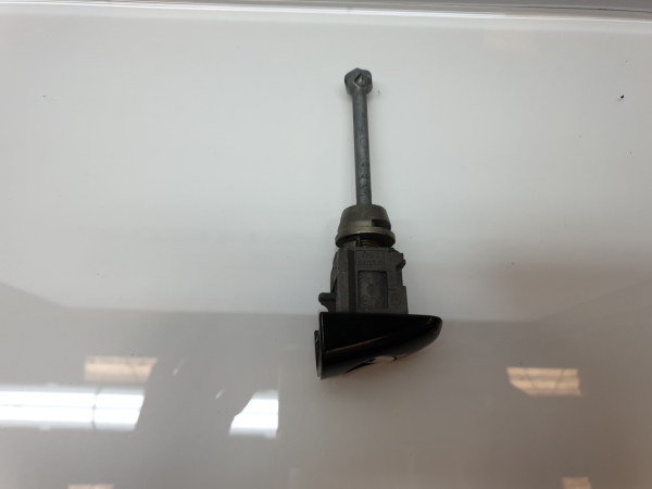 Canhão de porta PEUGEOT 208 Imagem-1