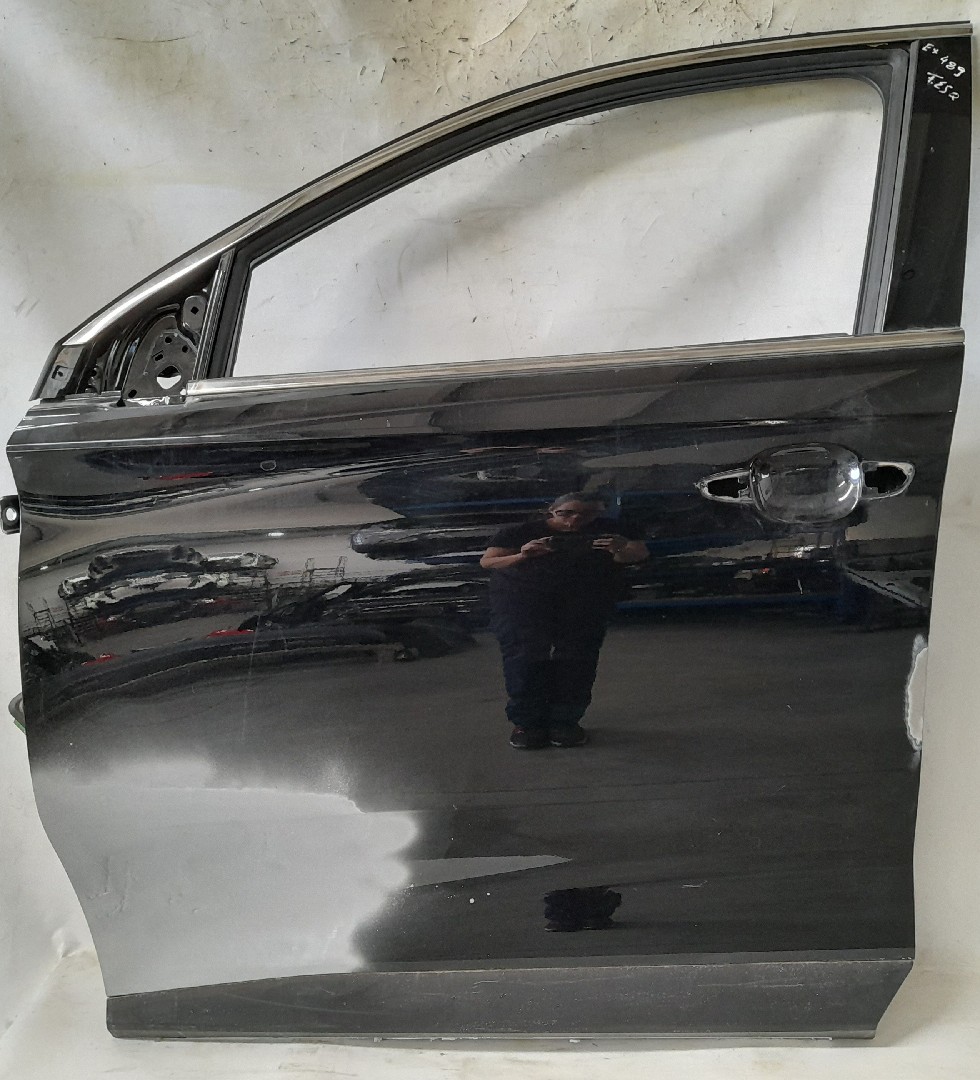 Porte avant gauche