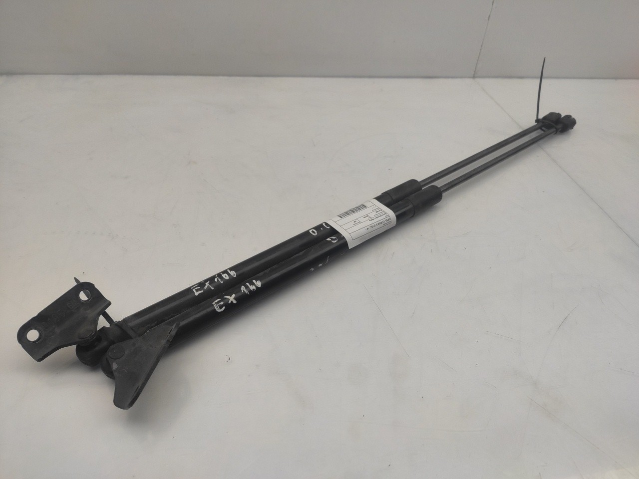 Trunk Shock Absorber