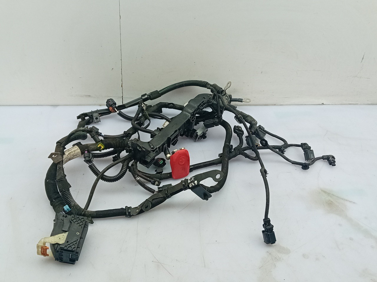 Impianto elettrico motore / cablaggio motore
