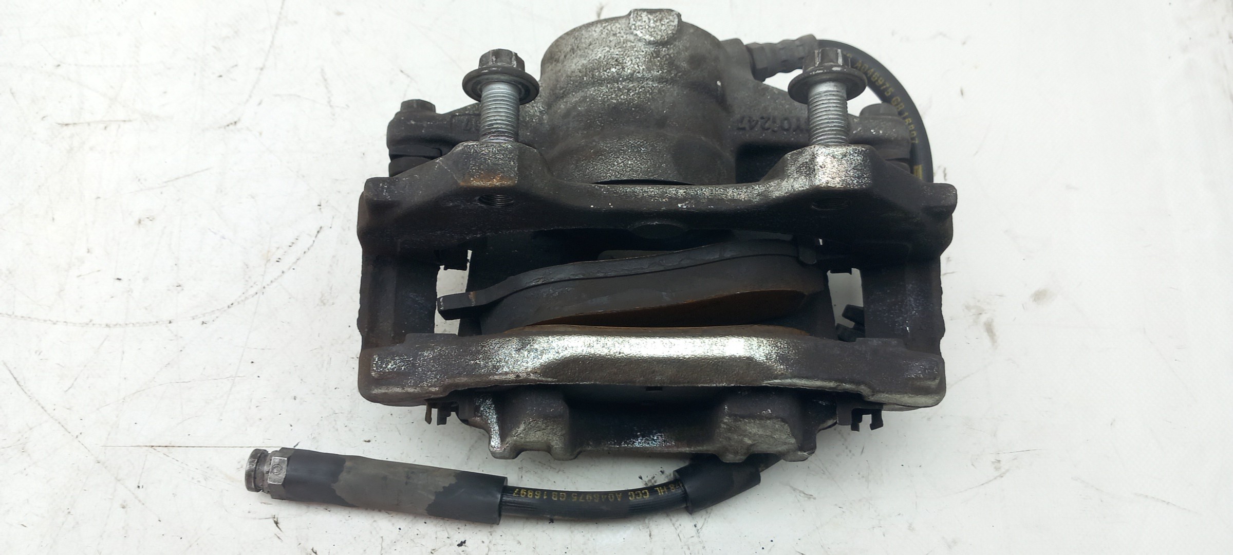 Pinza freno anteriore destra