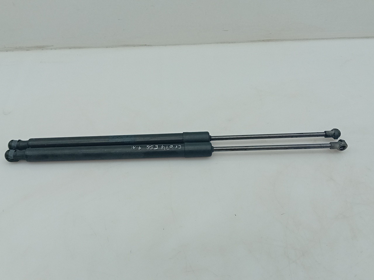 Trunk Shock Absorber