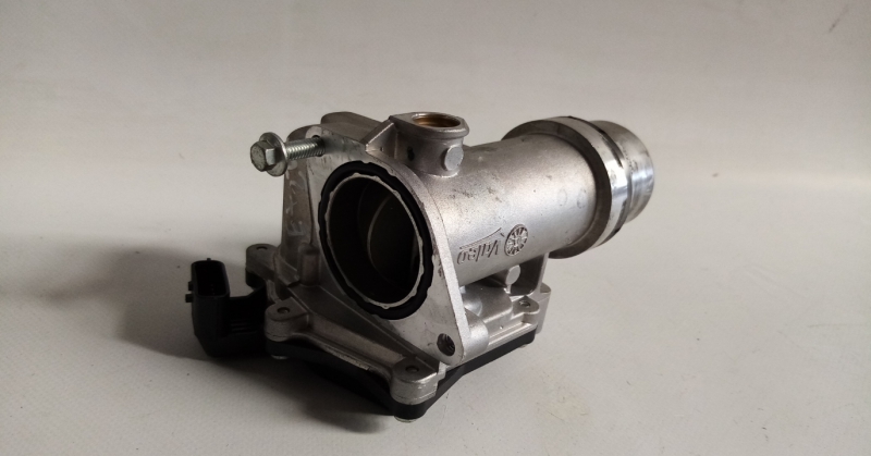 Throttle body