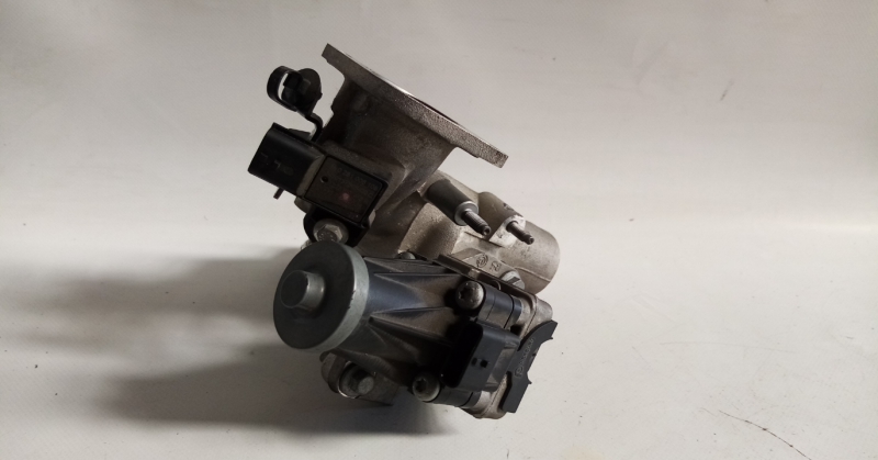 EGR valve