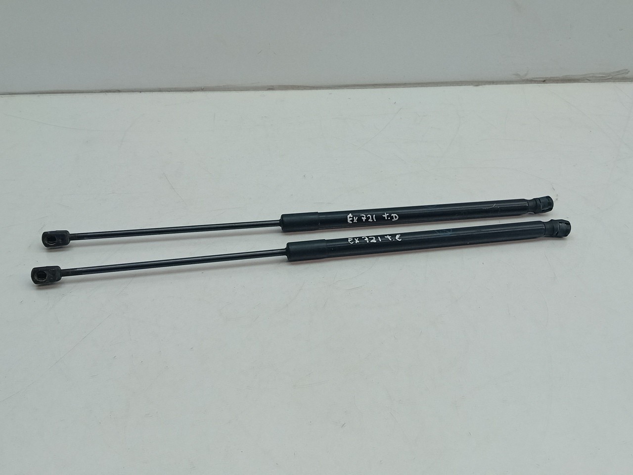 Trunk Shock Absorber