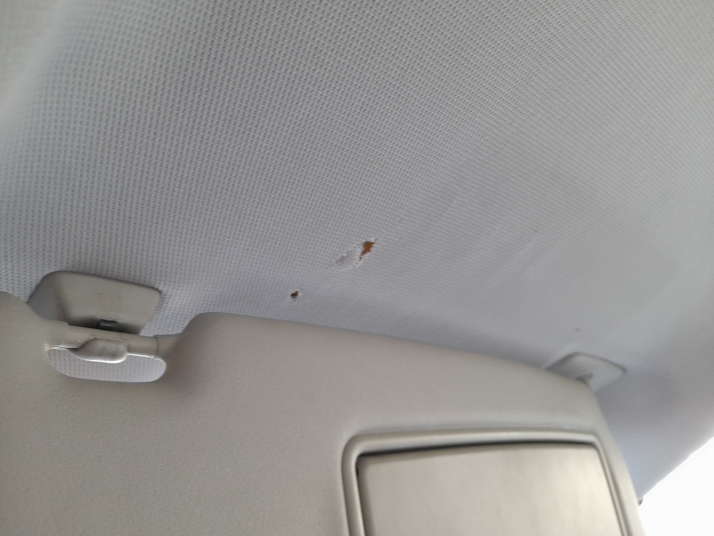 Roof lining VOLVO V50 (MW) Imagem-1