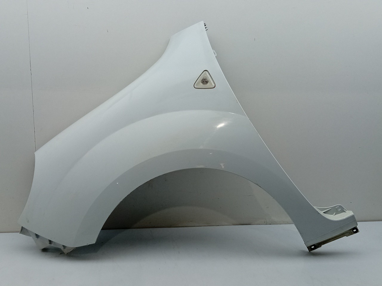 Left fender RENAULT Kangoo Express (FW0/1_) Imagem-0