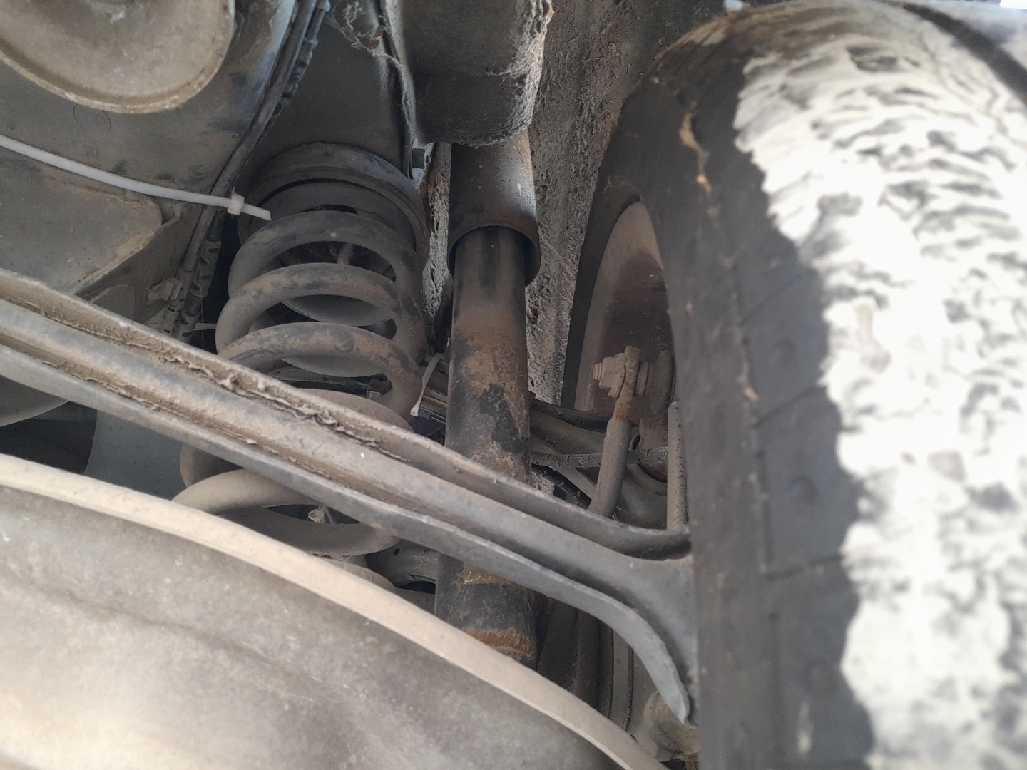 Right Rear Shock Absorber
