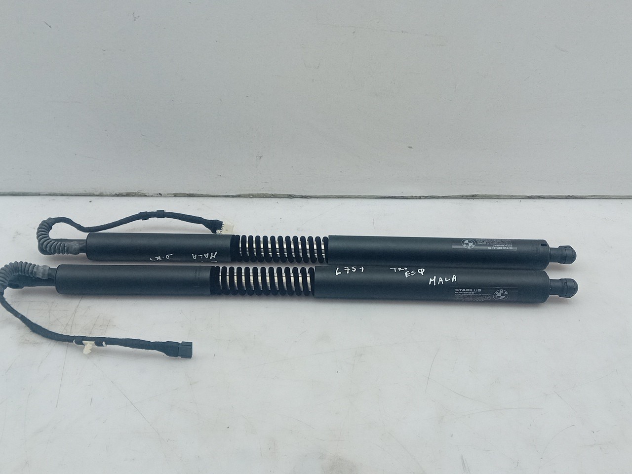 Trunk Shock Absorber