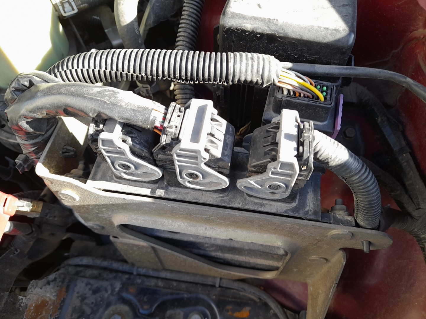 Centralina motor / ECU