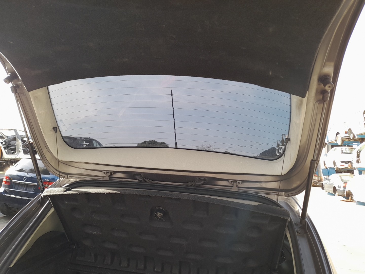 Trunk Shock Absorber