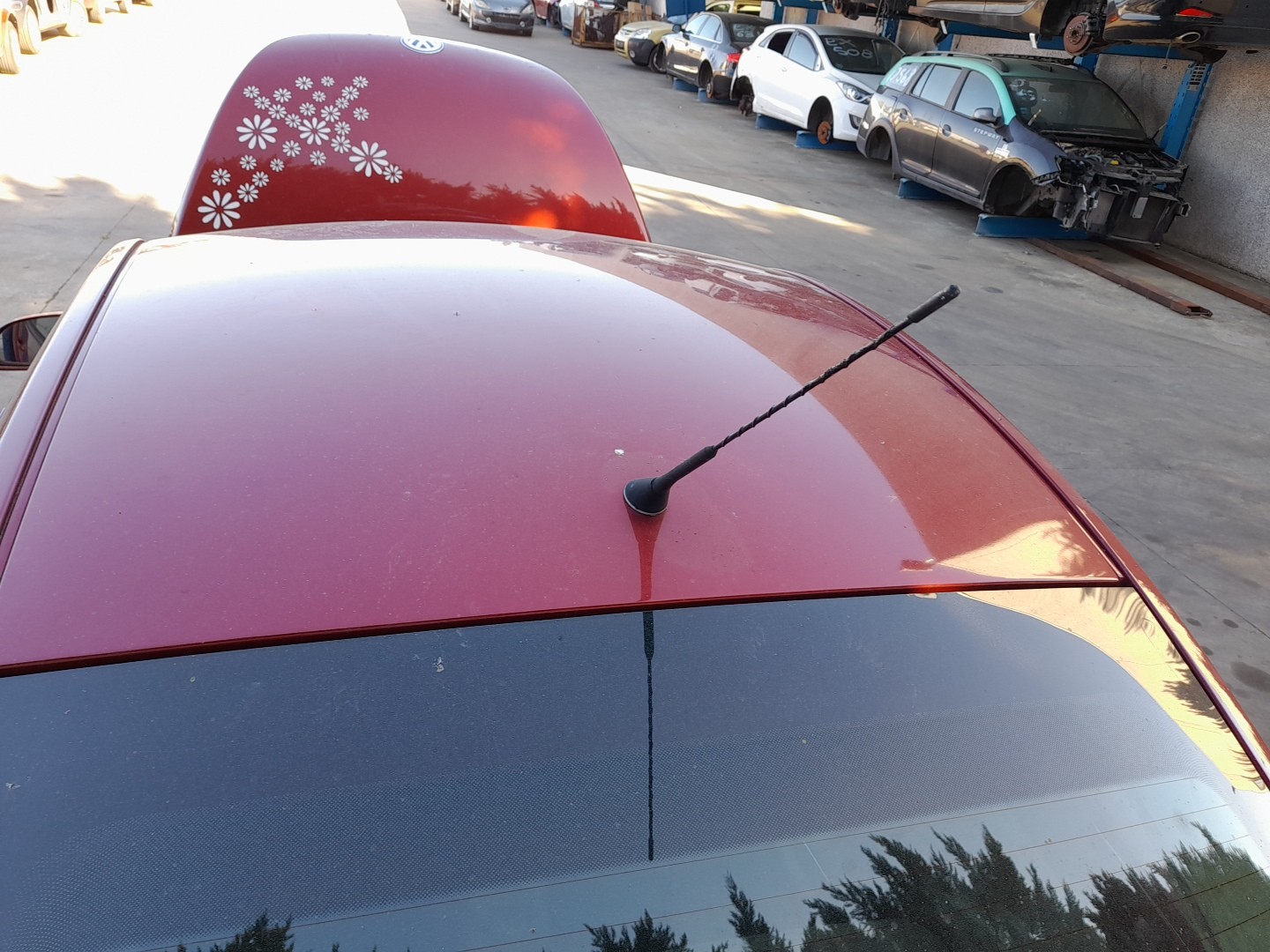 Roof VOLKSWAGEN New Beetle (9C1, 1C1) Imagem-1