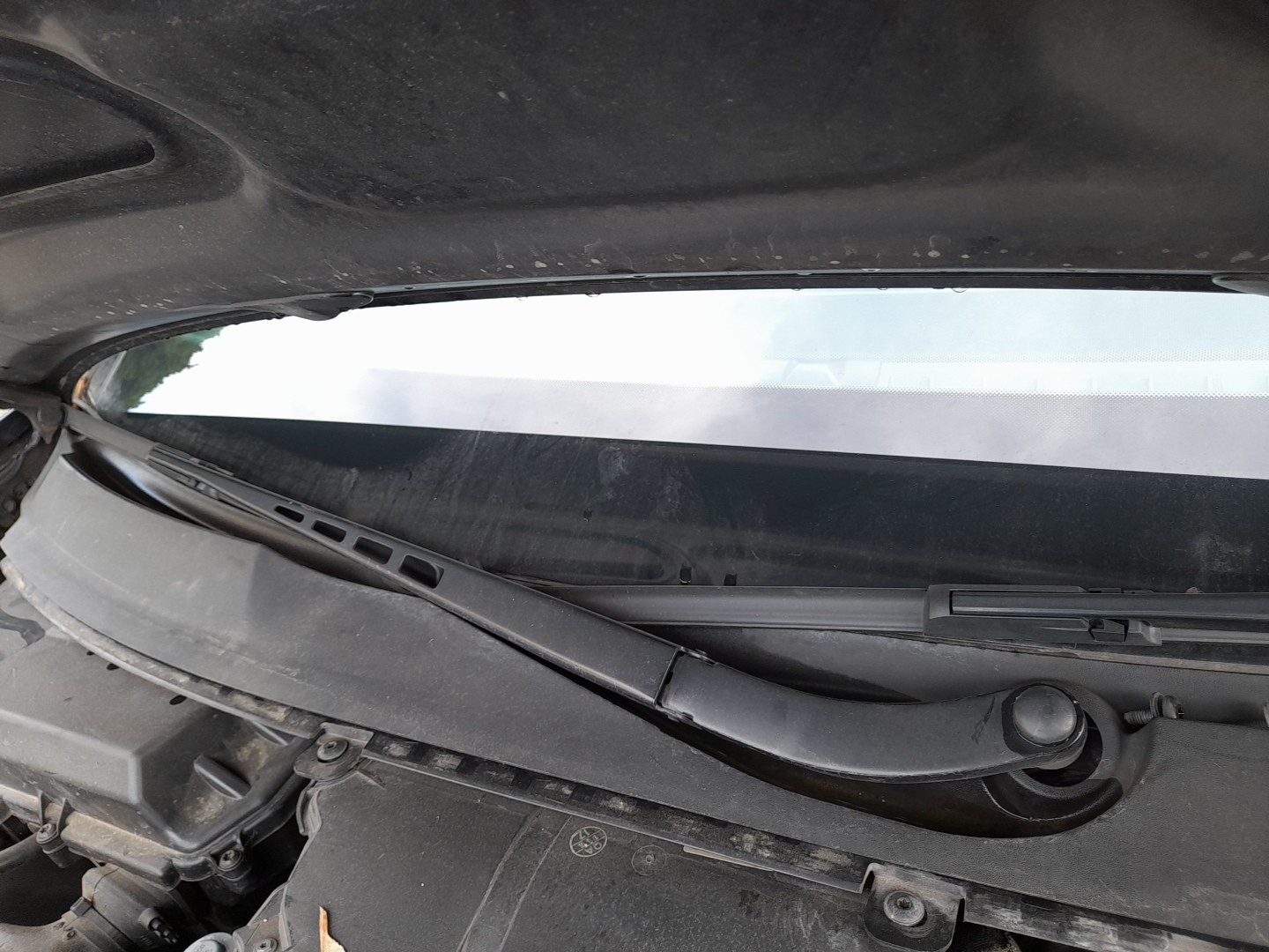 Brazo de limpiaparabrisas delantero derecho AUDI A6 (4F2, C6) Imagem-1