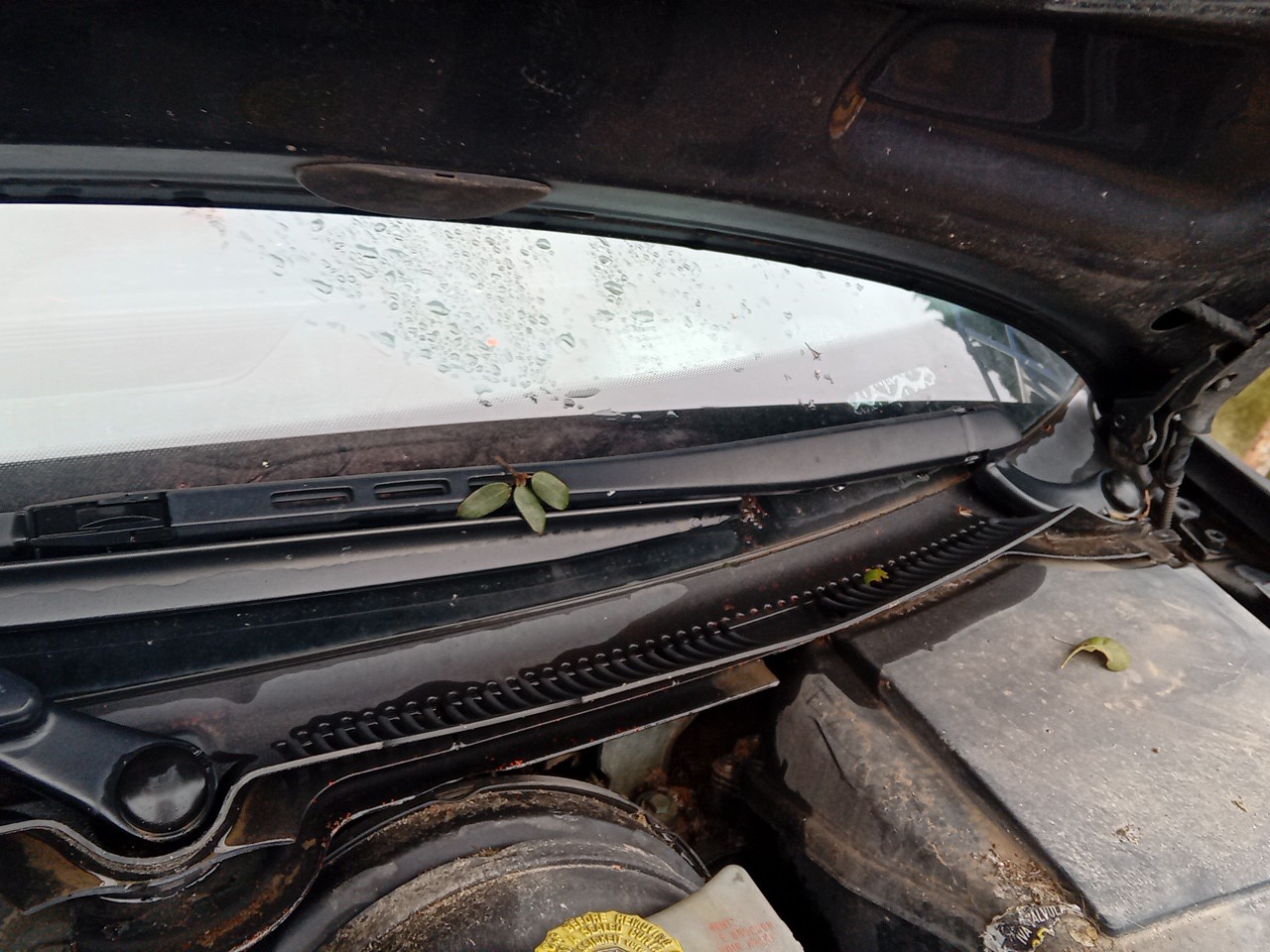 Dashboard cover AUDI A4 (8E2, B6) Imagem-1