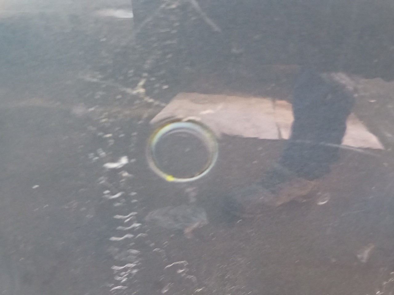 Sensor de aparcamiento Trasero AUDI A5 (8T3) Imagem-1