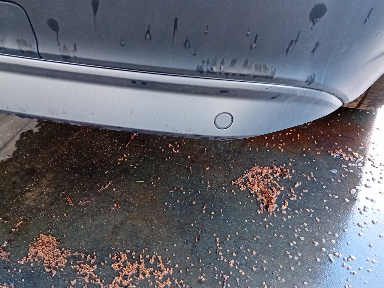 Sensor de estacionamento trás VOLKSWAGEN Tiguan (AD1, AX1) Imagem-3